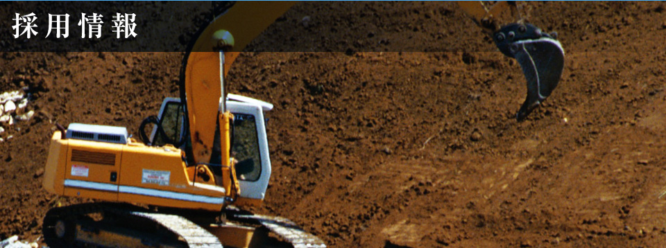 採用情報